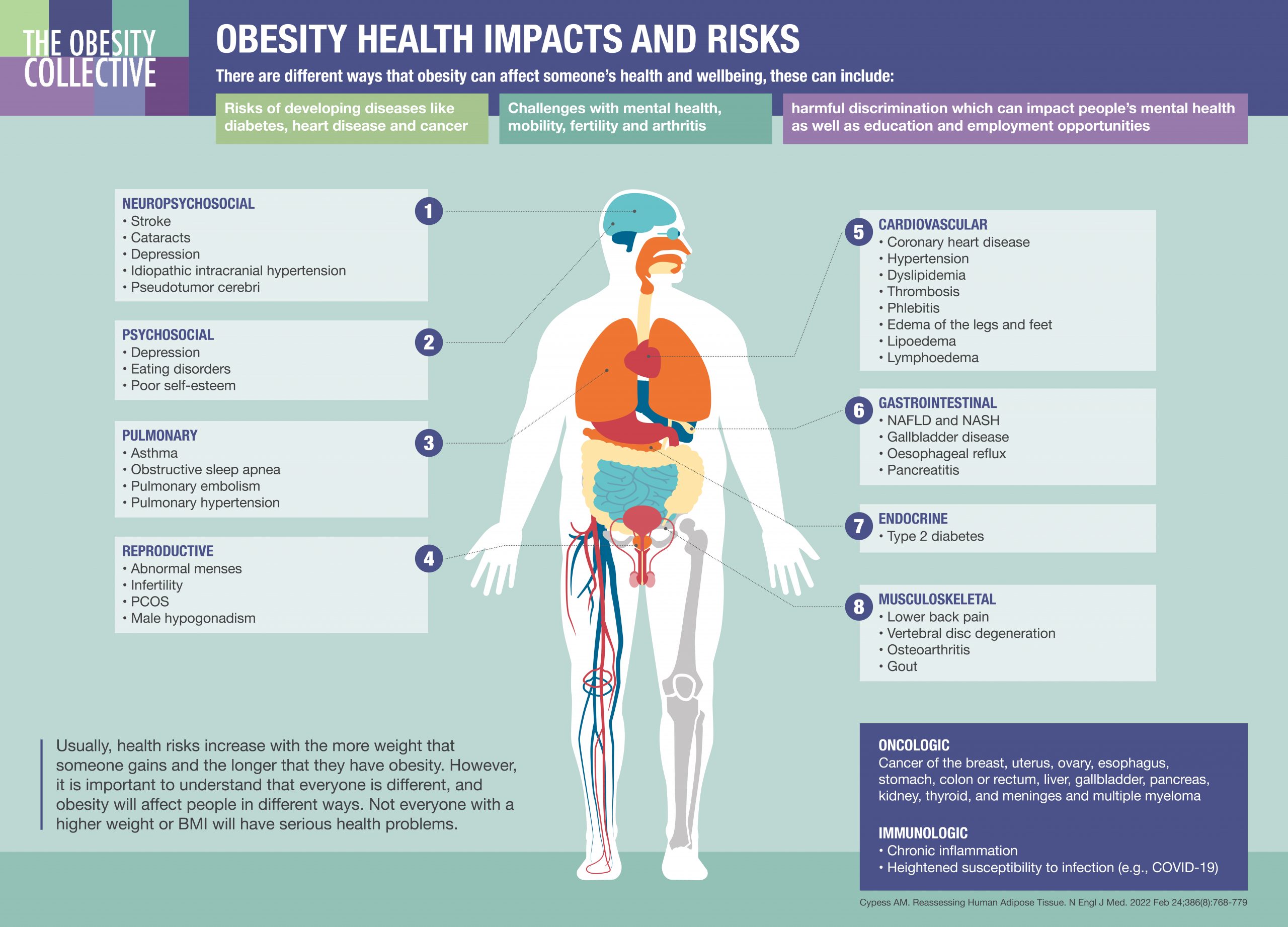 What is obesity - The Obesity Collective