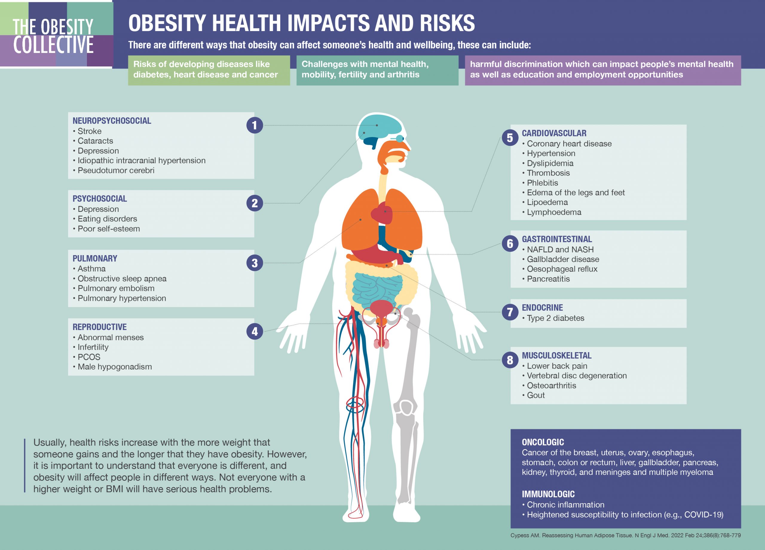 What is obesity - The Obesity Collective